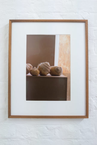 <i>Beige Bisambiguated</i>