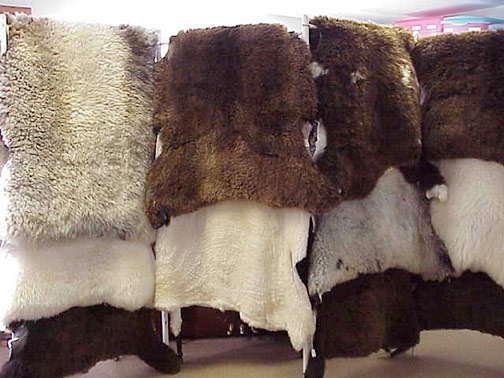 Furs on rack