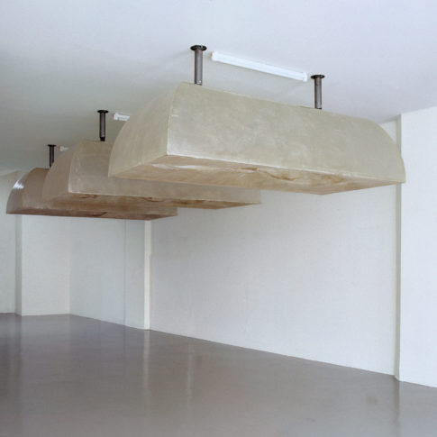 <i>Forma Anima</i> installation view